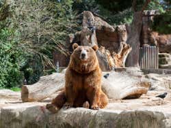 Le zoo de Madrid