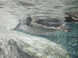Le zoo de Madrid