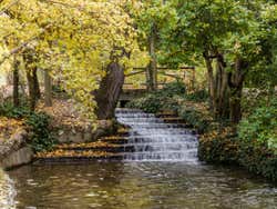 Ruisseau du parc