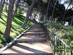 Sentiers du parc de l'Ouest